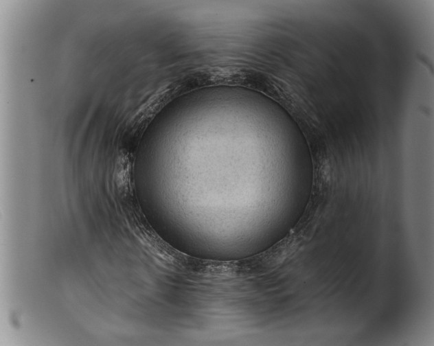 X0000099410914200805231600