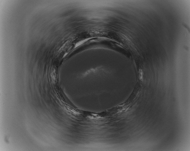 X0000099410915200805231600