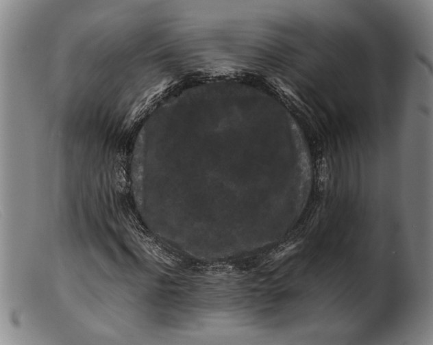 X0000099410916200805231600