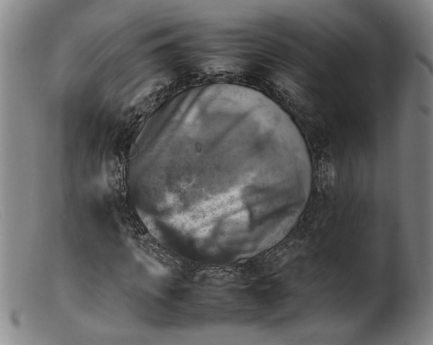 X0000099410917200805231600