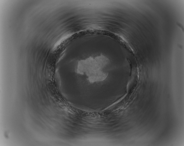 X0000099410919200805231600