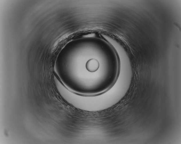 X0000099410920200805231600