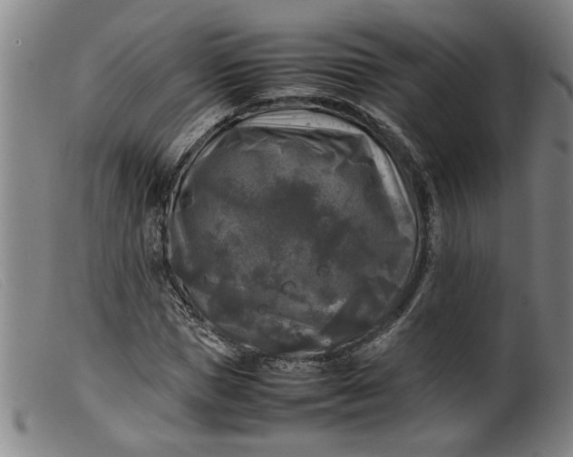 X0000099410921200805231600