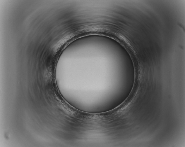 X0000099410922200805231600