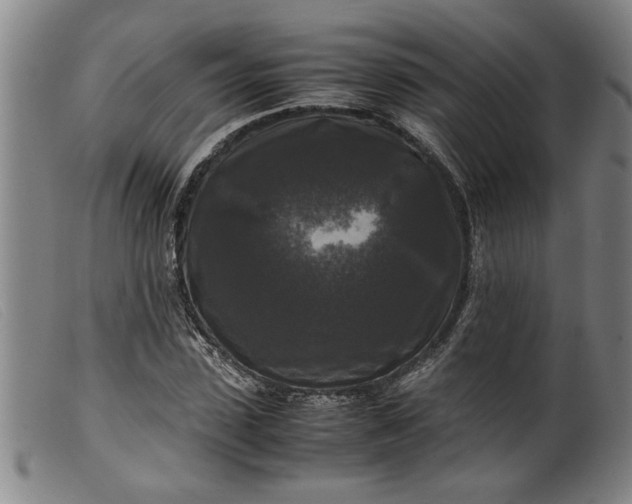 X0000099410923200805231600