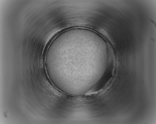 X0000099410924200805231600