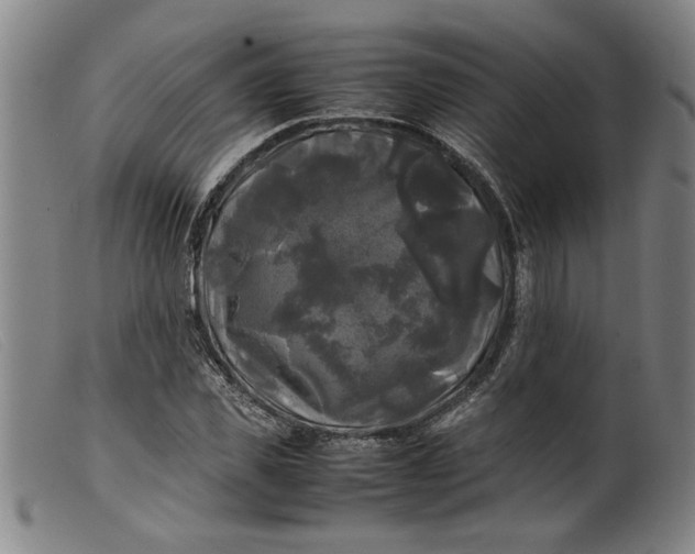 X0000099410925200805231600