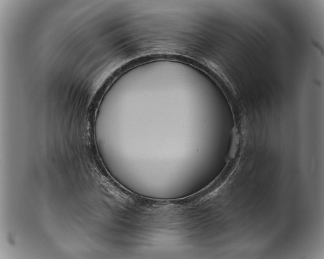 X0000099410926200805231600