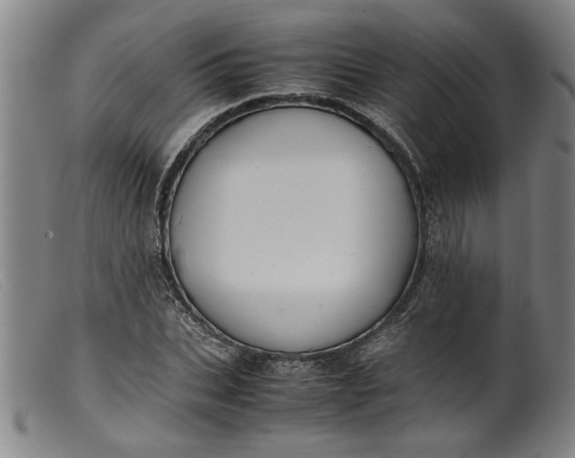 X0000099410927200805231600