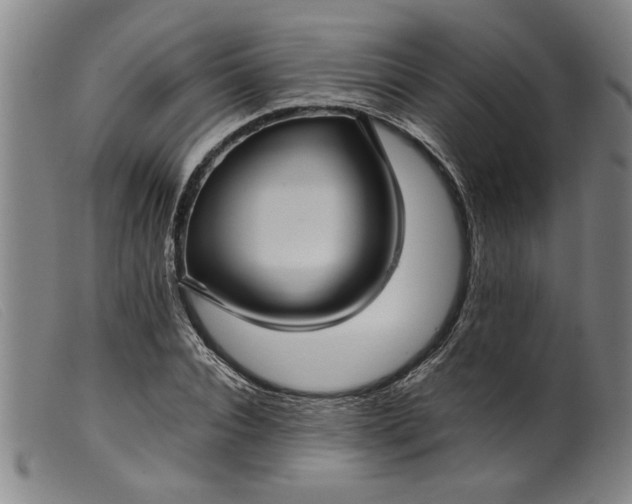 X0000099410928200805231600