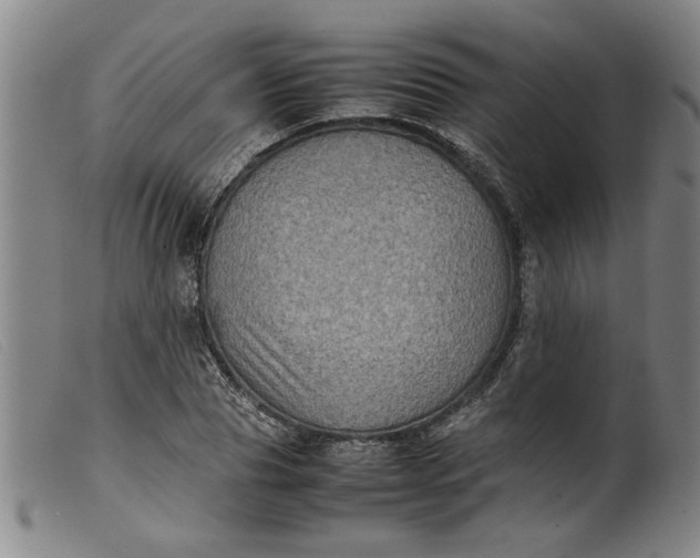 X0000099410929200805231600