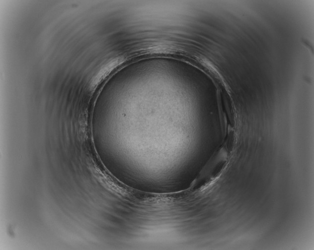 X0000099410930200805231600