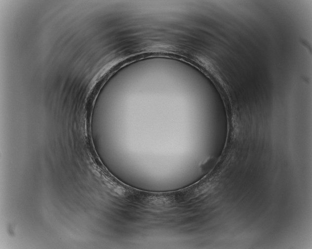 X0000099410931200805231600