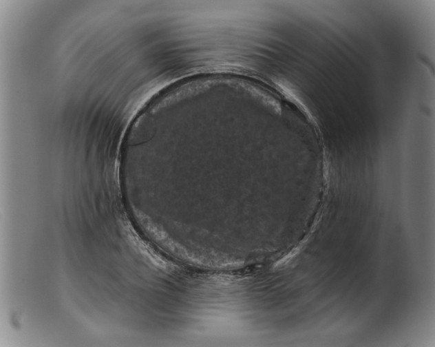 X0000099410932200805231600