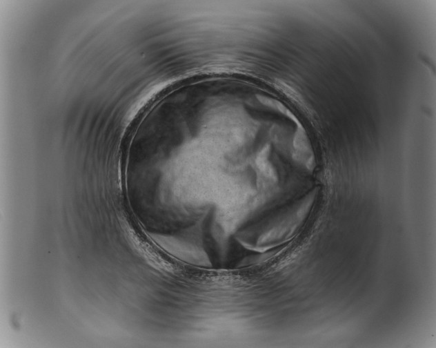 X0000099410934200805231601