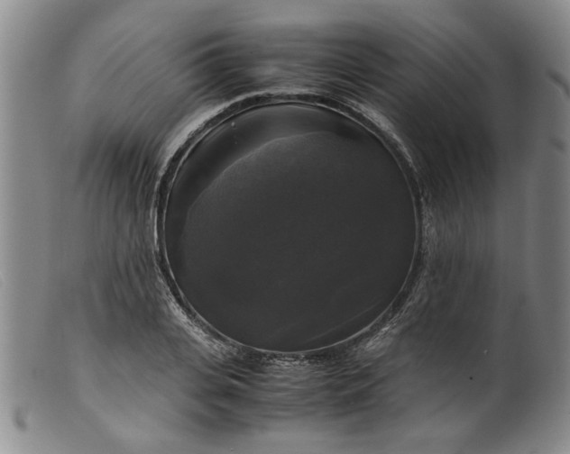 X0000099410935200805231601