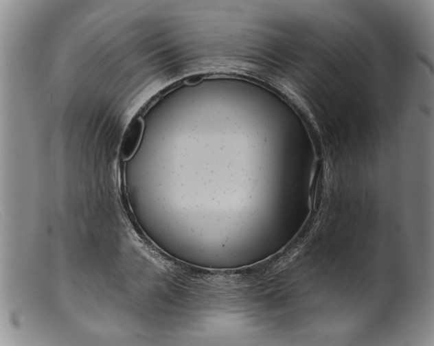 X0000099410936200805231601