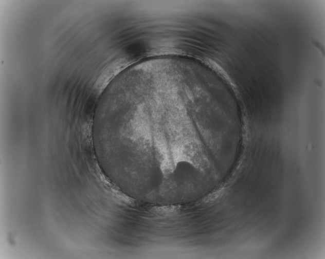 X0000099410937200805231601