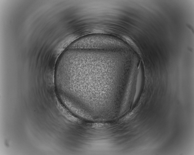 X0000099410938200805231601