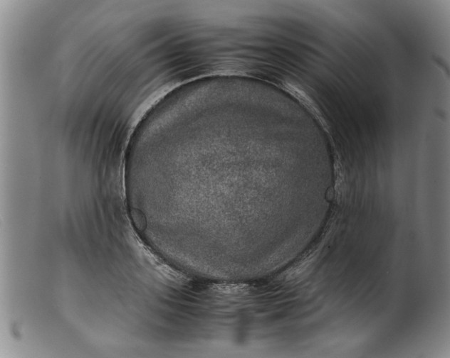 X0000099410939200805231601