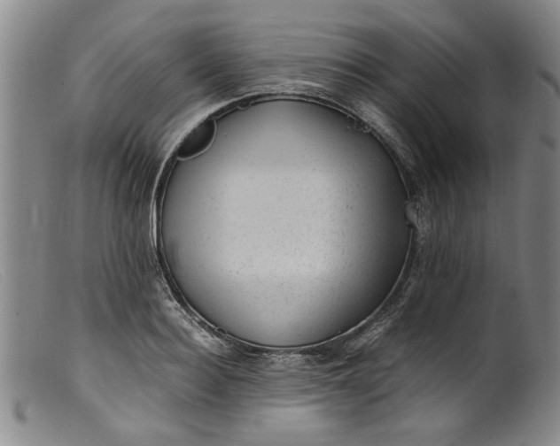 X0000099410940200805231601