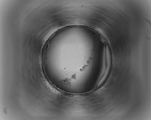 X0000099410942200805231601