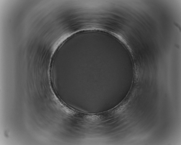 X0000099410943200805231601