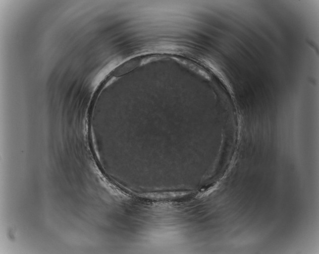 X0000099410944200805231601