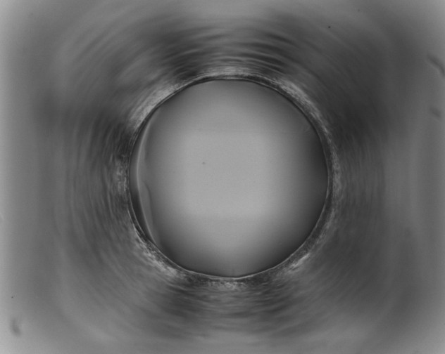 X0000099410945200805231601