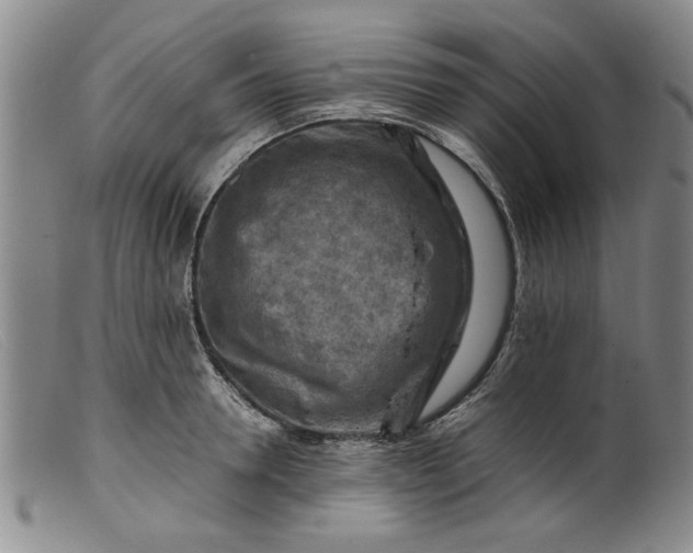 X0000099410946200805231601