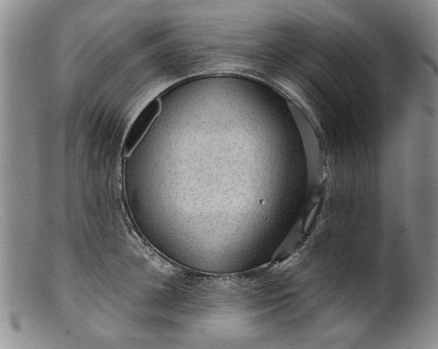 X0000099410948200805231601