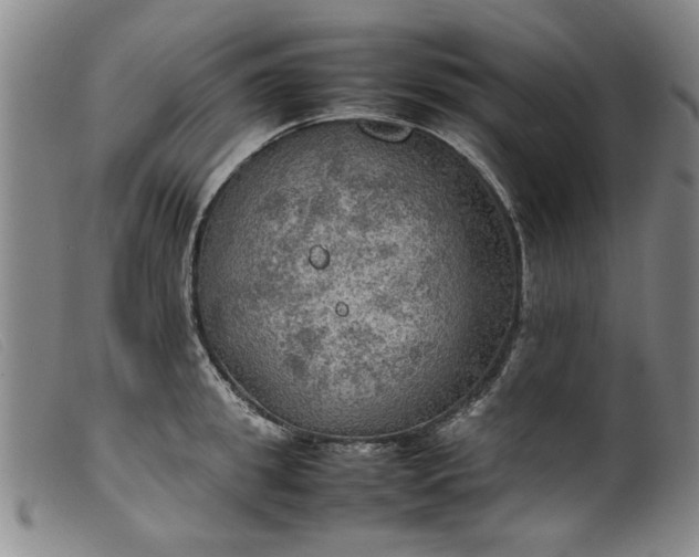 X0000099410949200805231601