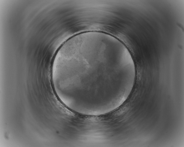 X0000099410950200805231601