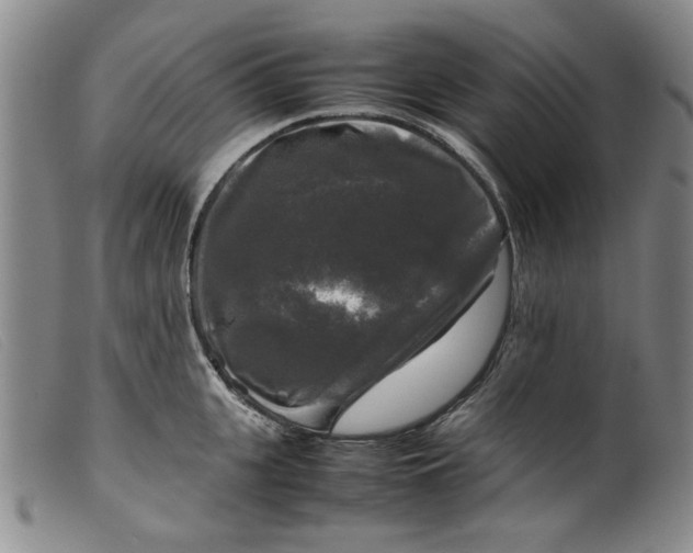 X0000099410951200805231601