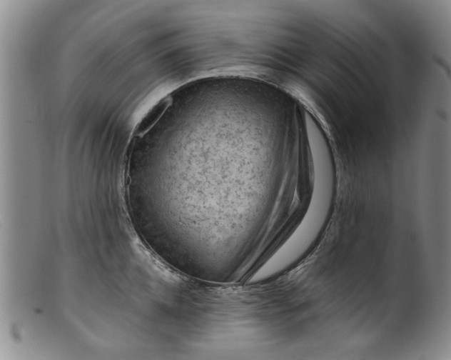 X0000099410952200805231601