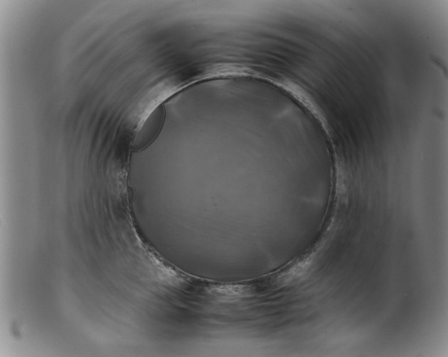 X0000099410953200805231601