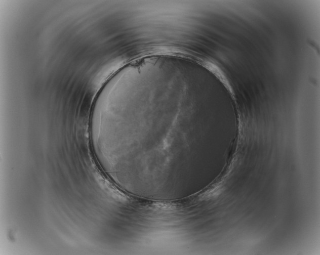 X0000099410954200805231601