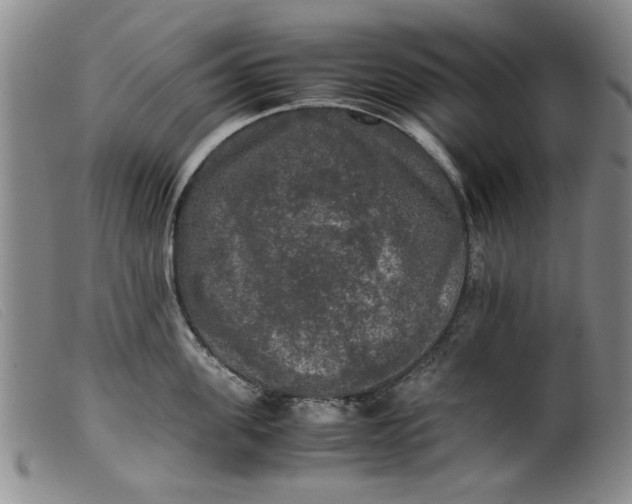 X0000099410955200805231601