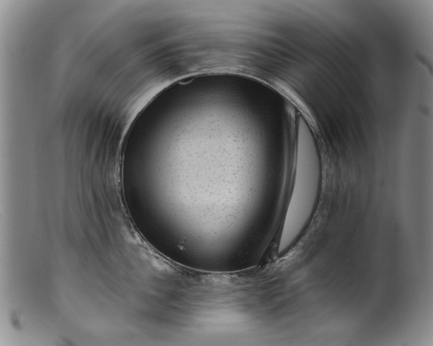 X0000099410956200805231601