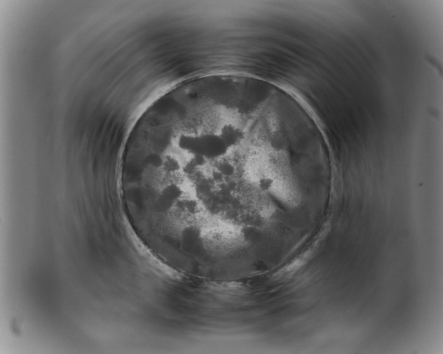 X0000099410957200805231601