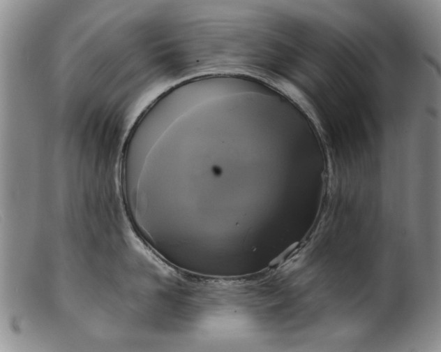 X0000099410958200805231601