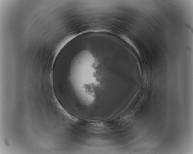 X0000099410959200805231601