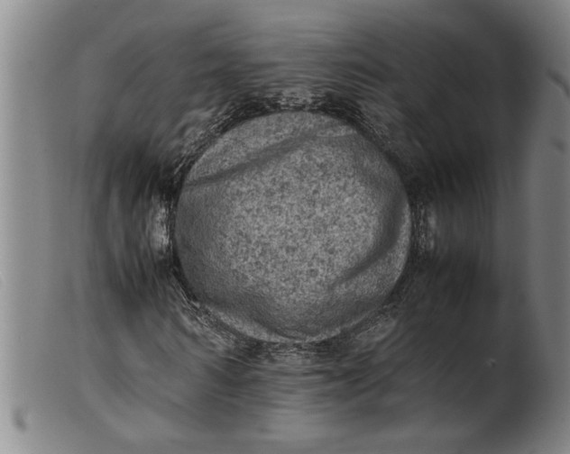 X0000099410962200805231600