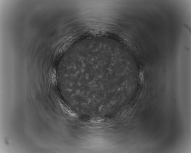 X0000099410963200805231600