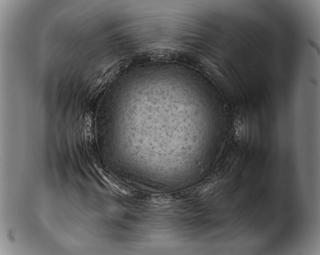 X0000099410964200805231600