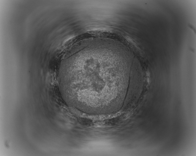 X0000099410965200805231600