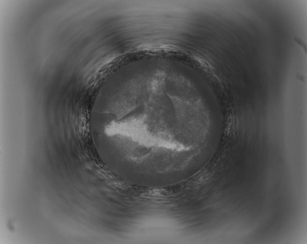 X0000099410966200805231600