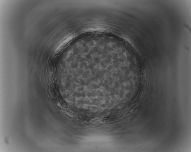 X0000099410967200805231600