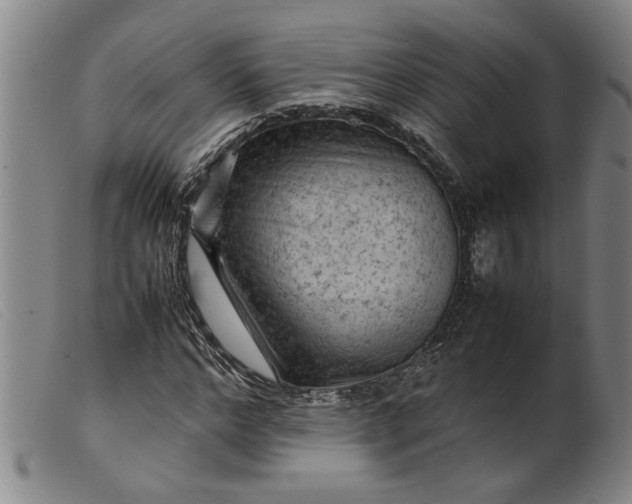 X0000099410968200805231600