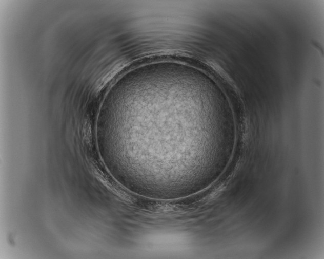 X0000099410969200805231600